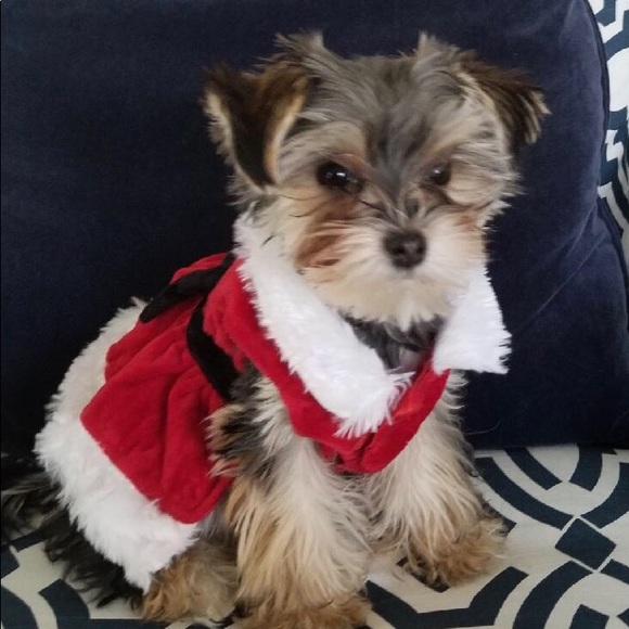 Meet your Posher, Tracy - Picture 5 of 6